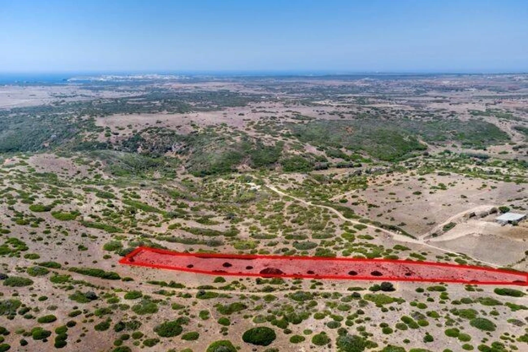 Terreno para Venda em Vila do Bispo e Raposeira Foto 4