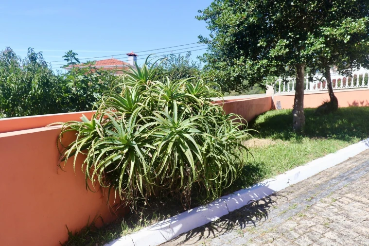 Moradia T3 para Venda em Nine Foto 8