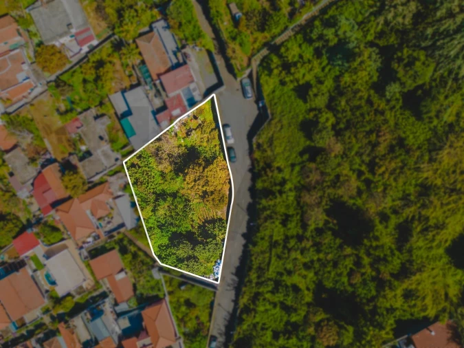 Terreno para Venda em Funchal (Santa Maria Maior) Foto 4