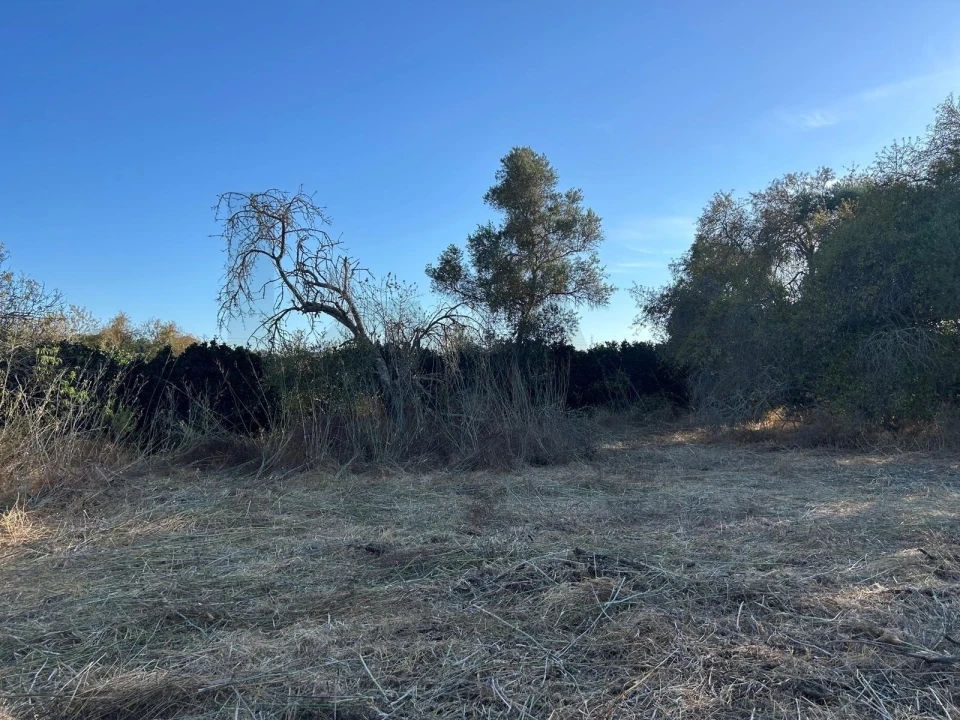 Terreno para Venda em Algoz e Tunes Foto 9