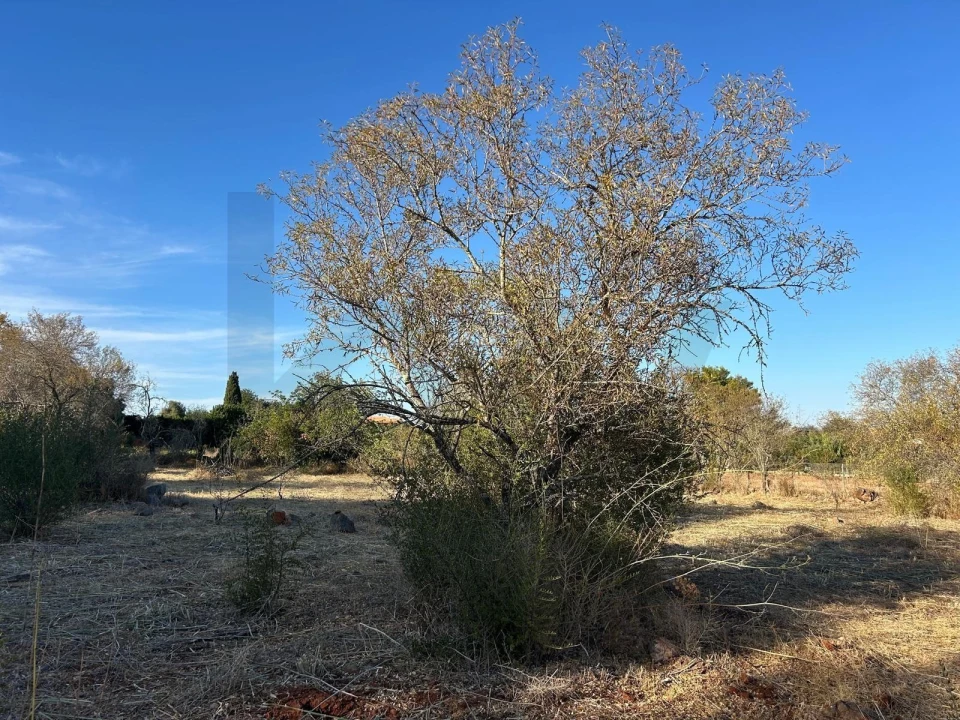 Terreno para Venda em Algoz e Tunes Foto 8