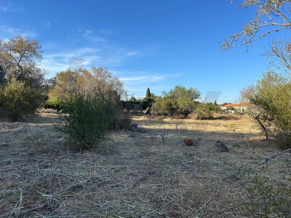 Terreno para Venda em Algoz e Tunes Foto 7