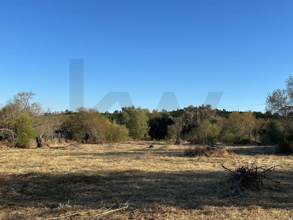 Terreno para Venda em Algoz e Tunes Foto 18