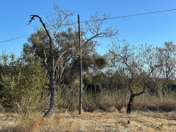 Terreno para Venda em Algoz e Tunes Foto 12