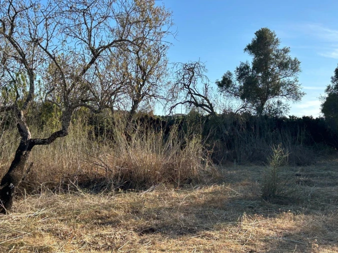 Terreno para Venda em Algoz e Tunes Foto 11