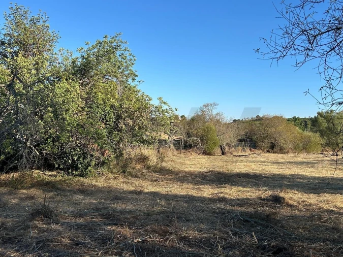 Terreno para Venda em Algoz e Tunes Foto 24