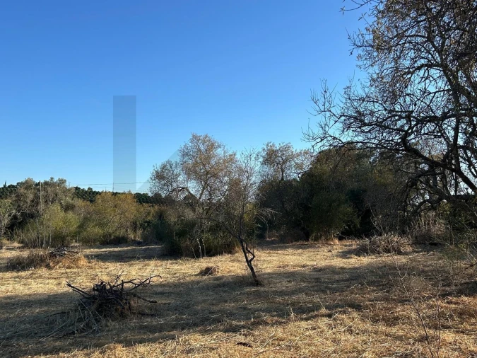 Terreno para Venda em Algoz e Tunes Foto 22