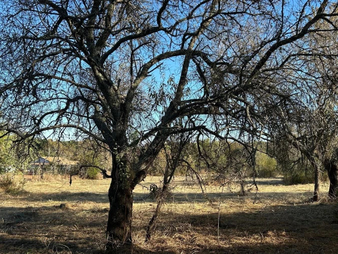 Terreno para Venda em Algoz e Tunes Foto 20