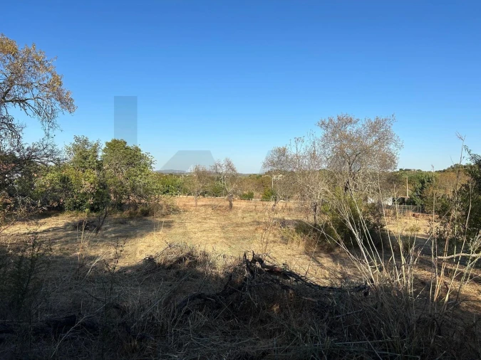 Terreno para Venda em Algoz e Tunes Foto 2