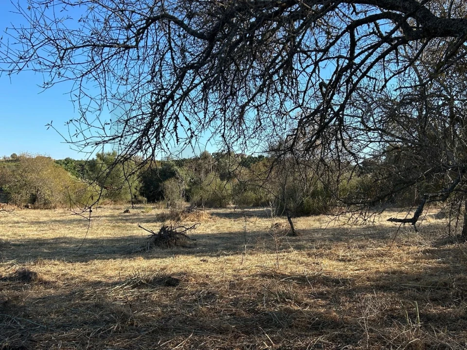 Terreno para Venda em Algoz e Tunes Foto 19