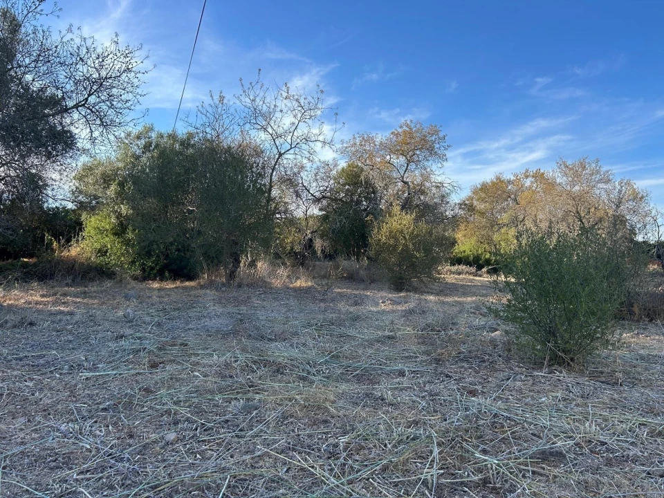 Terreno para Venda em Algoz e Tunes Foto 10