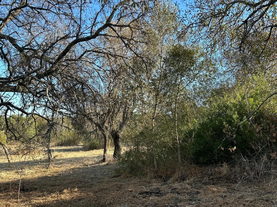 Terreno para Venda em Algoz e Tunes Foto 23