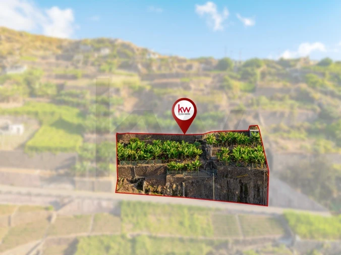 Terreno para Venda em Camara de Lobos Foto 2
