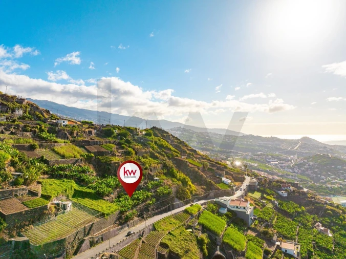 Terreno para Venda em Camara de Lobos Foto 11
