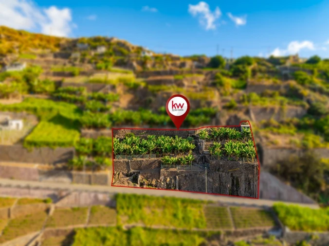 Terreno para Venda em Camara de Lobos Foto 3