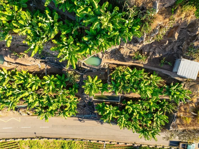 Terreno para Venda em Camara de Lobos Foto 20