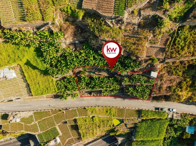 Terreno para Venda em Camara de Lobos Foto 8