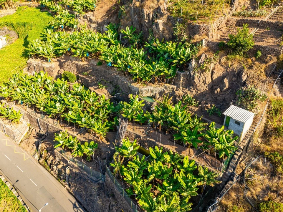 Terreno para Venda em Camara de Lobos Foto 19