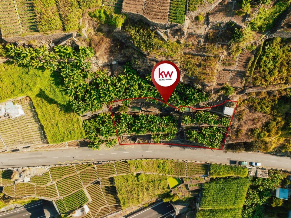 Terreno para Venda em Camara de Lobos Foto 8
