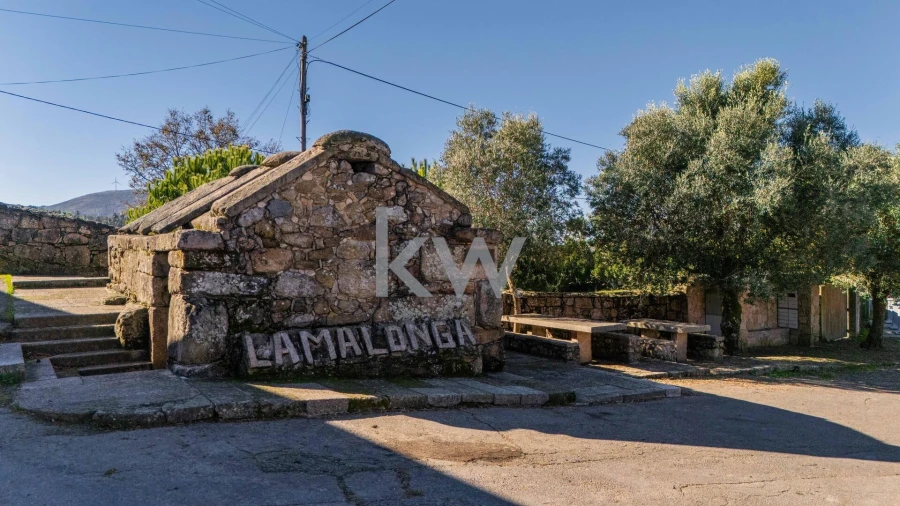 Moradia T3 para Venda em Ruivães e Campos Foto 23