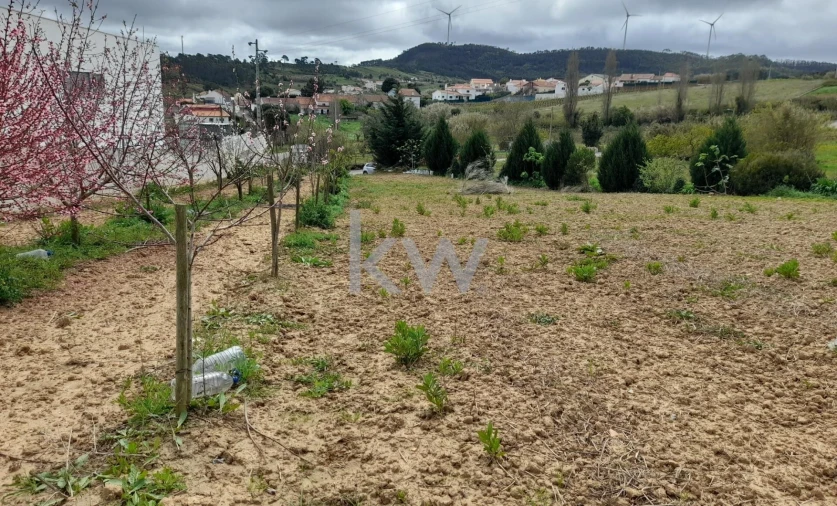 Terreno para Venda em Freiria Foto 3