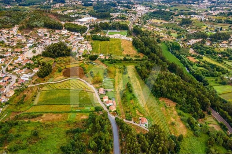 Terreno para Venda em Parada de Todeia Foto 4