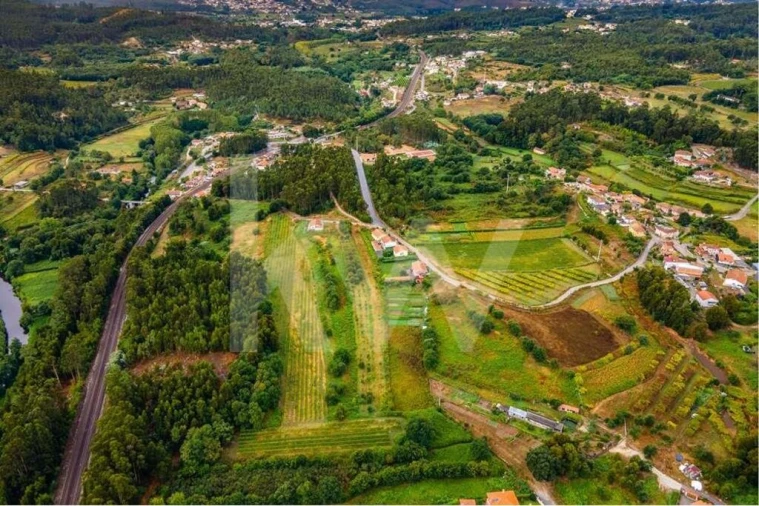 Terreno para Venda em Parada de Todeia Foto 5