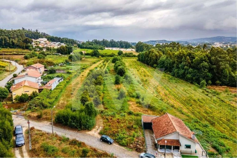Terreno para Venda em Parada de Todeia Foto 2