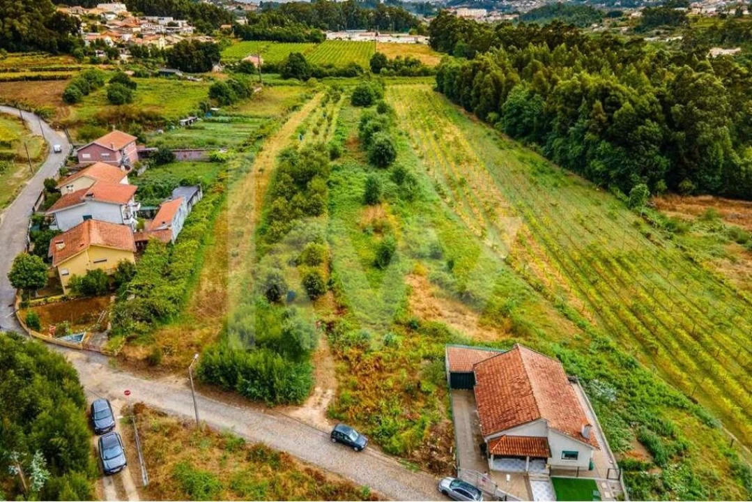 Terreno para Venda em Parada de Todeia Foto 6