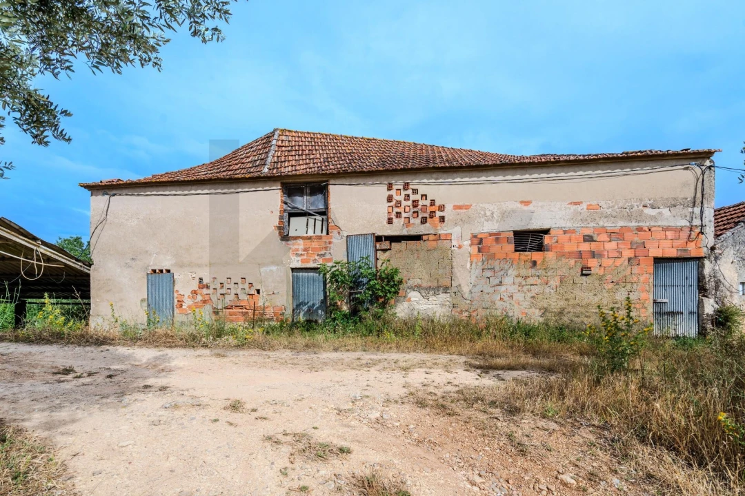 Quinta T6 para Venda em Alcanena e Vila Moreira Foto 40