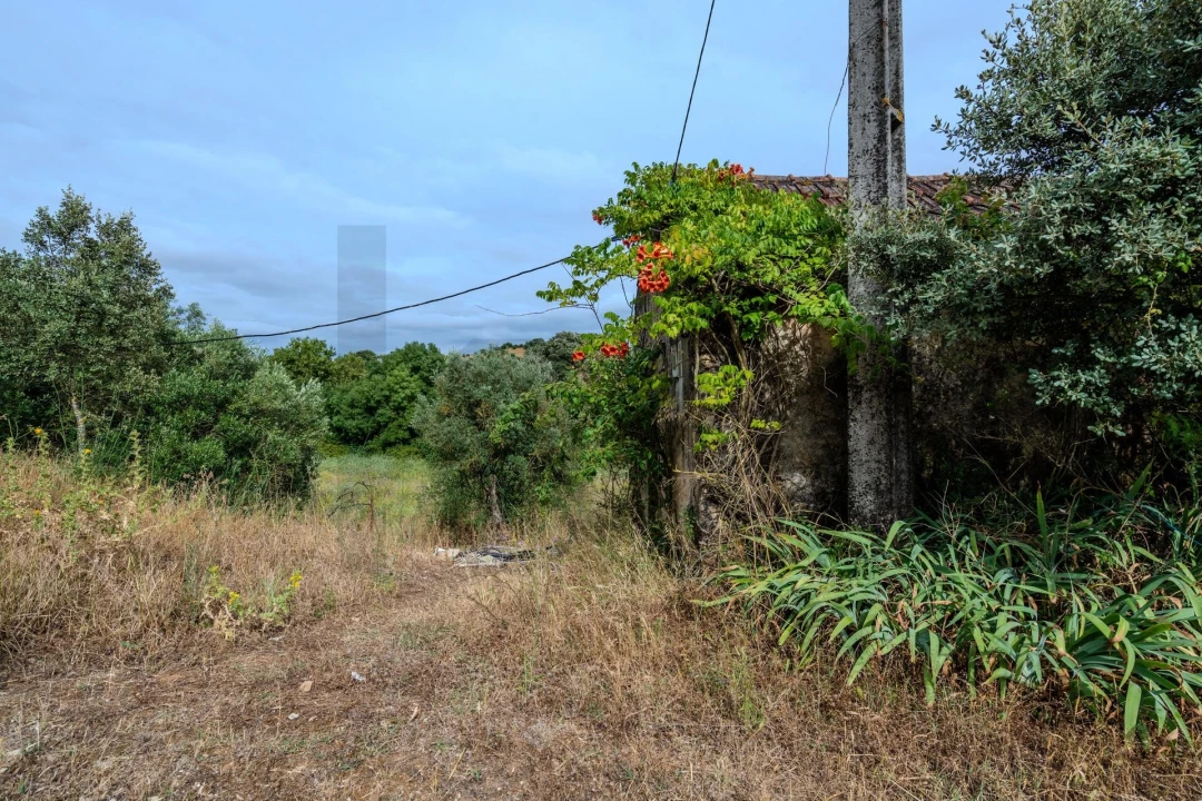 Quinta T6 para Venda em Alcanena e Vila Moreira Foto 41