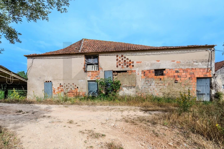 Quinta T6 para Venda em Alcanena e Vila Moreira Foto 40