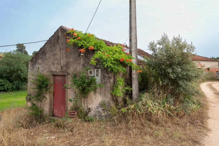 Quinta T6 para Venda em Alcanena e Vila Moreira Foto 38
