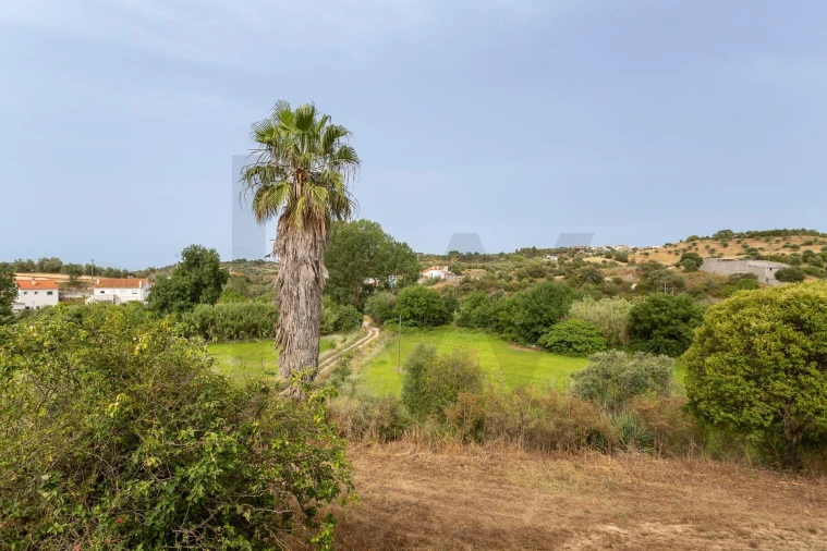 Quinta T6 para Venda em Alcanena e Vila Moreira Foto 29