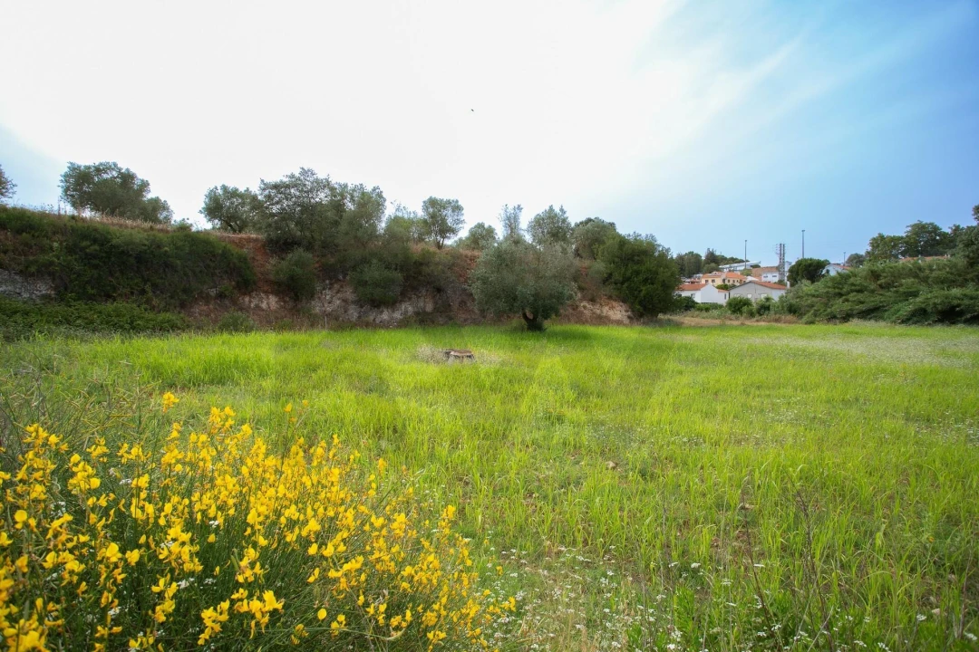 Quinta T6 para Venda em Alcanena e Vila Moreira Foto 42