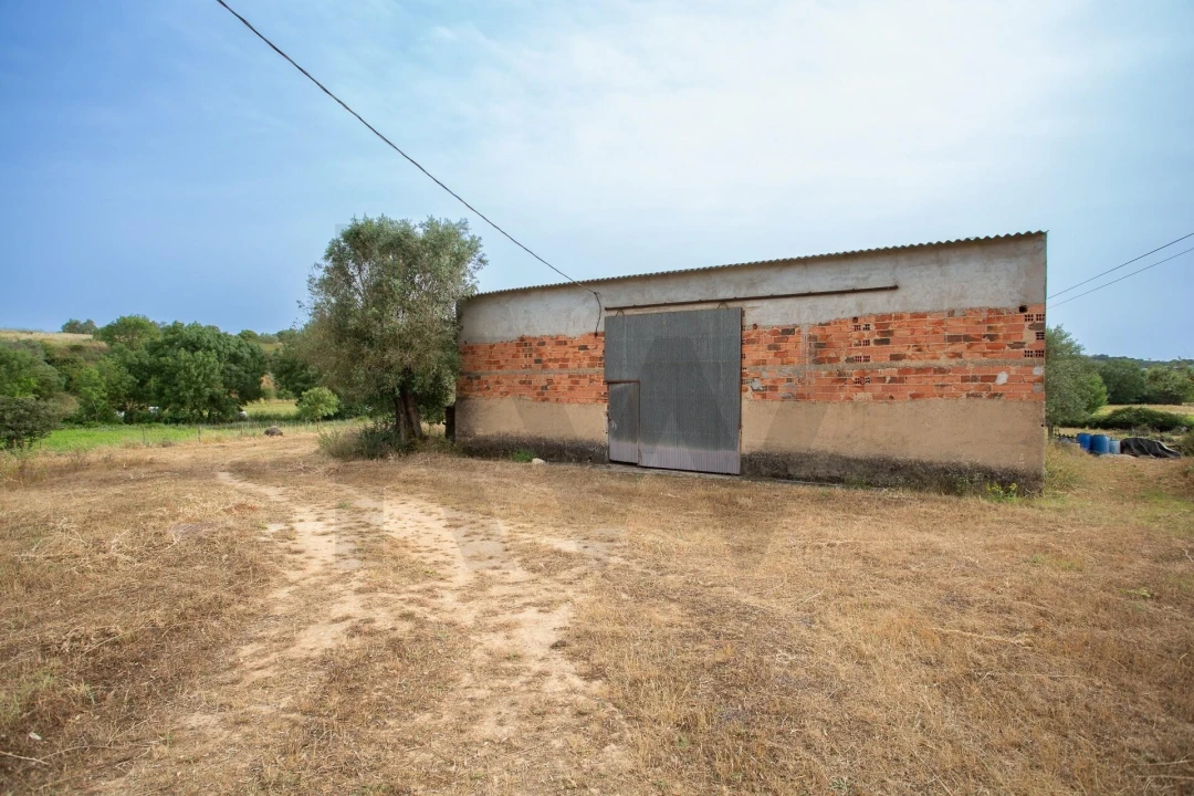 Quinta T6 para Venda em Alcanena e Vila Moreira Foto 39