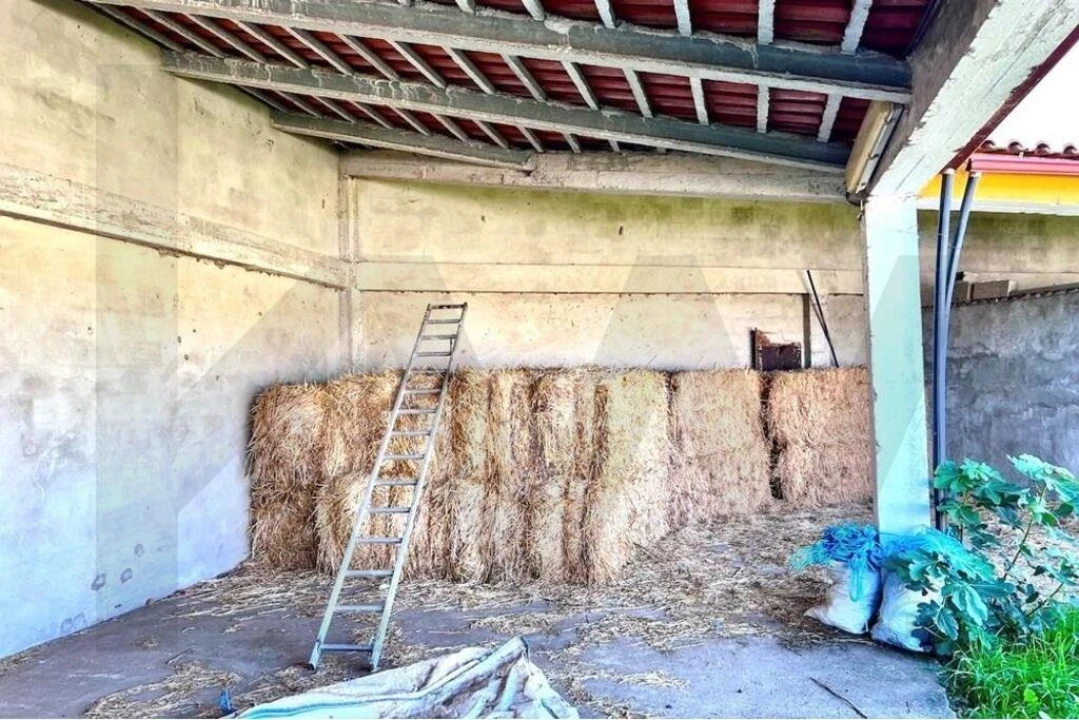 Moradia T7 para Venda em Assunção Foto 47