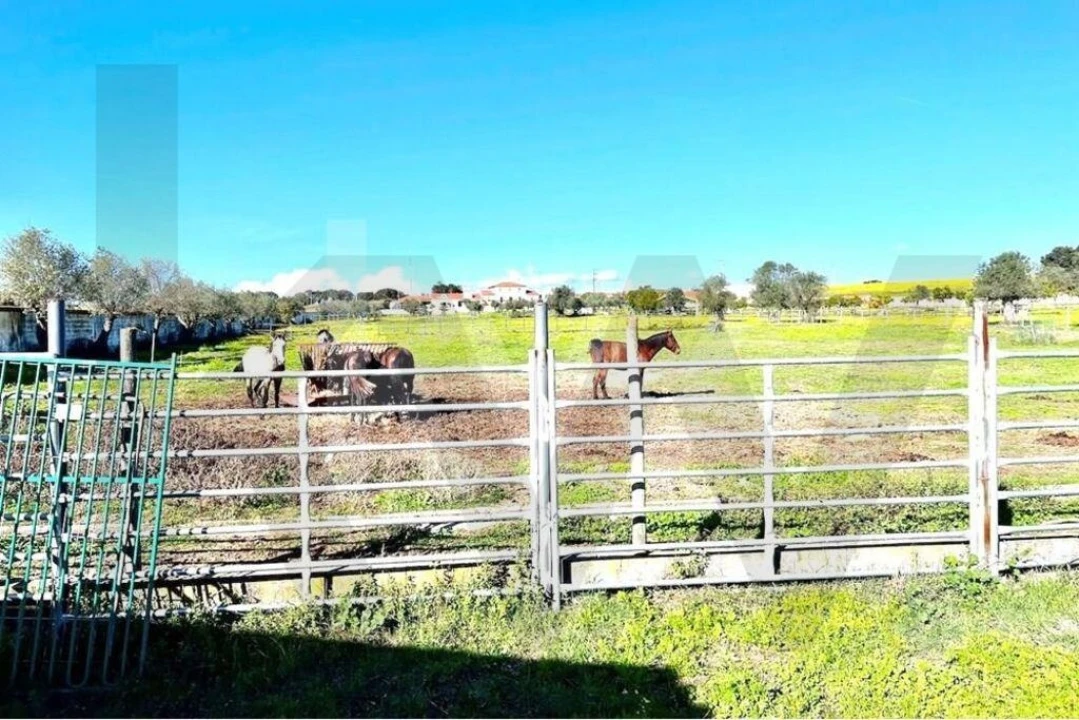 Moradia T7 para Venda em Assunção Foto 48