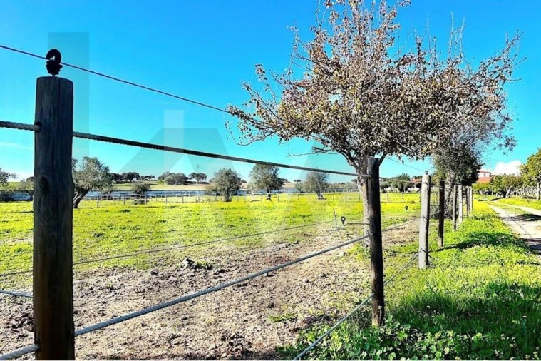 Moradia T7 para Venda em Assunção Foto 36