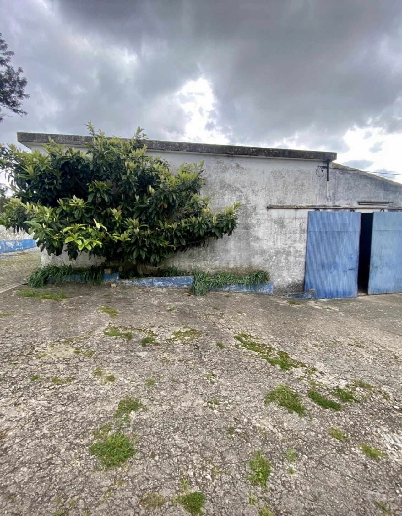 Quinta T4 para Venda em Valado dos Frades Foto 29