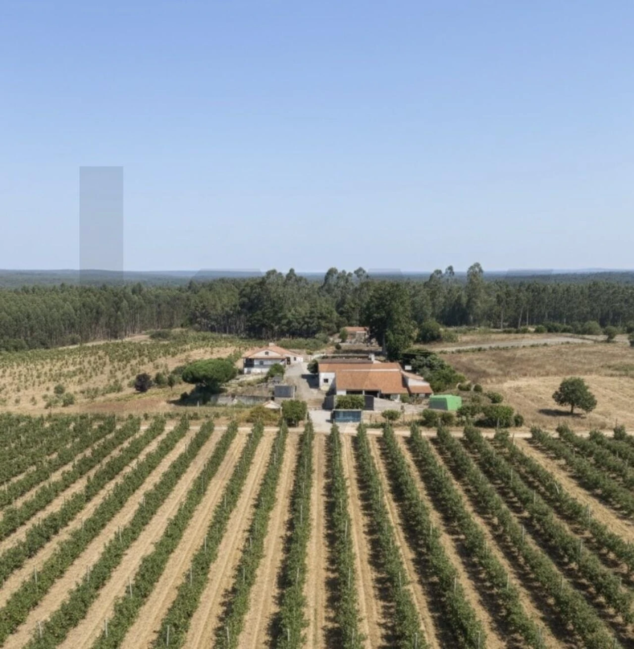 Quinta T4 para Venda em Valado dos Frades Foto 1