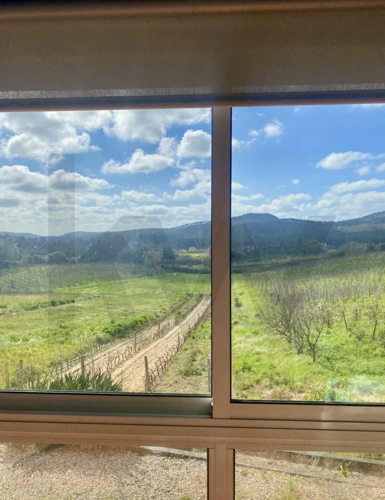 Quinta T4 para Venda em Valado dos Frades Foto 23