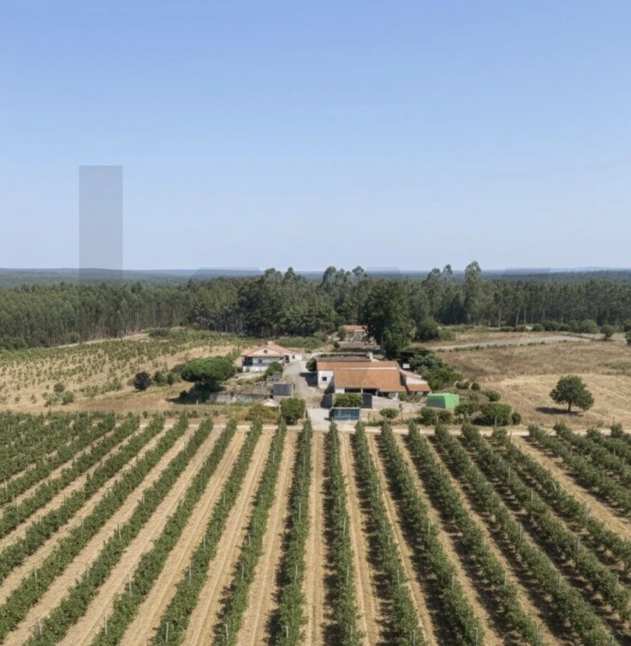 Quinta T4 para Venda em Valado dos Frades Foto 1