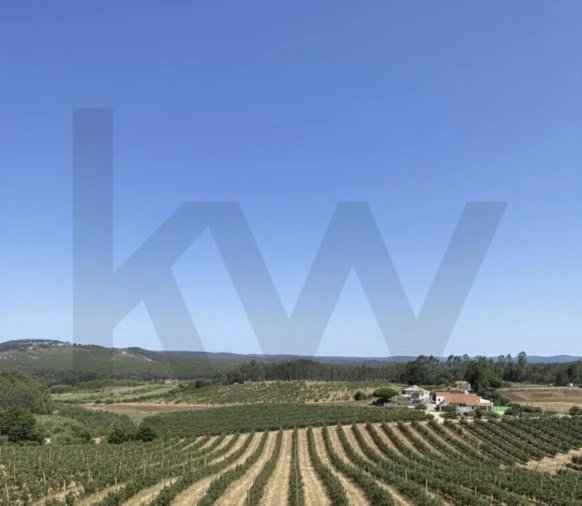 Quinta T4 para Venda em Valado dos Frades Foto 4