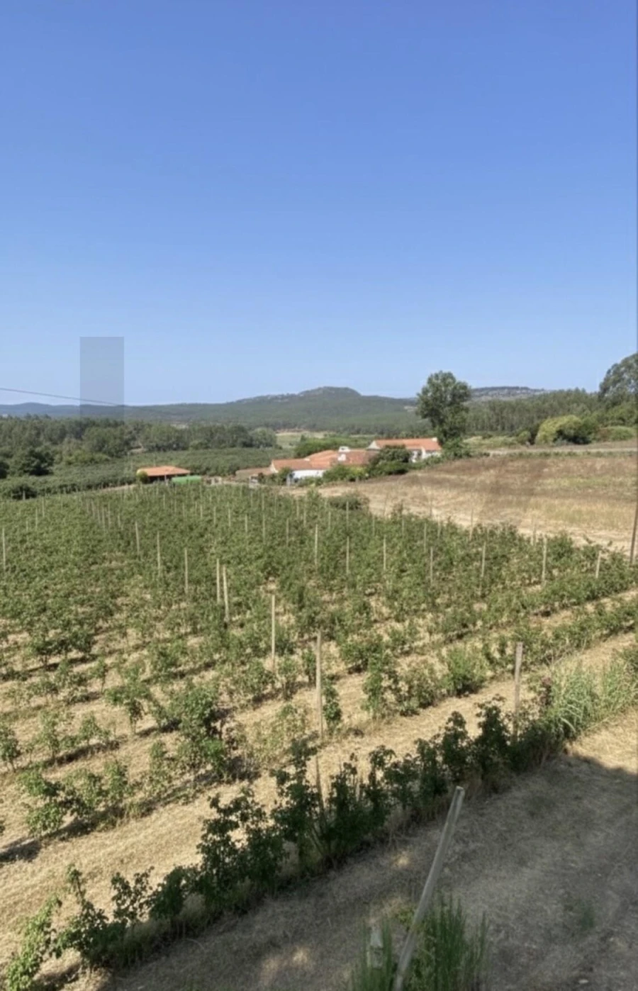 Quinta T4 para Venda em Valado dos Frades Foto 34