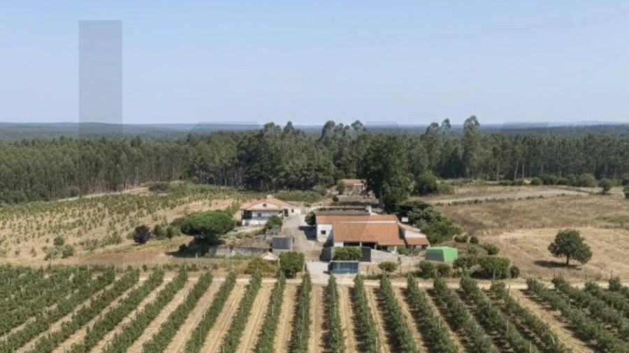 Terreno para Venda em Valado dos Frades