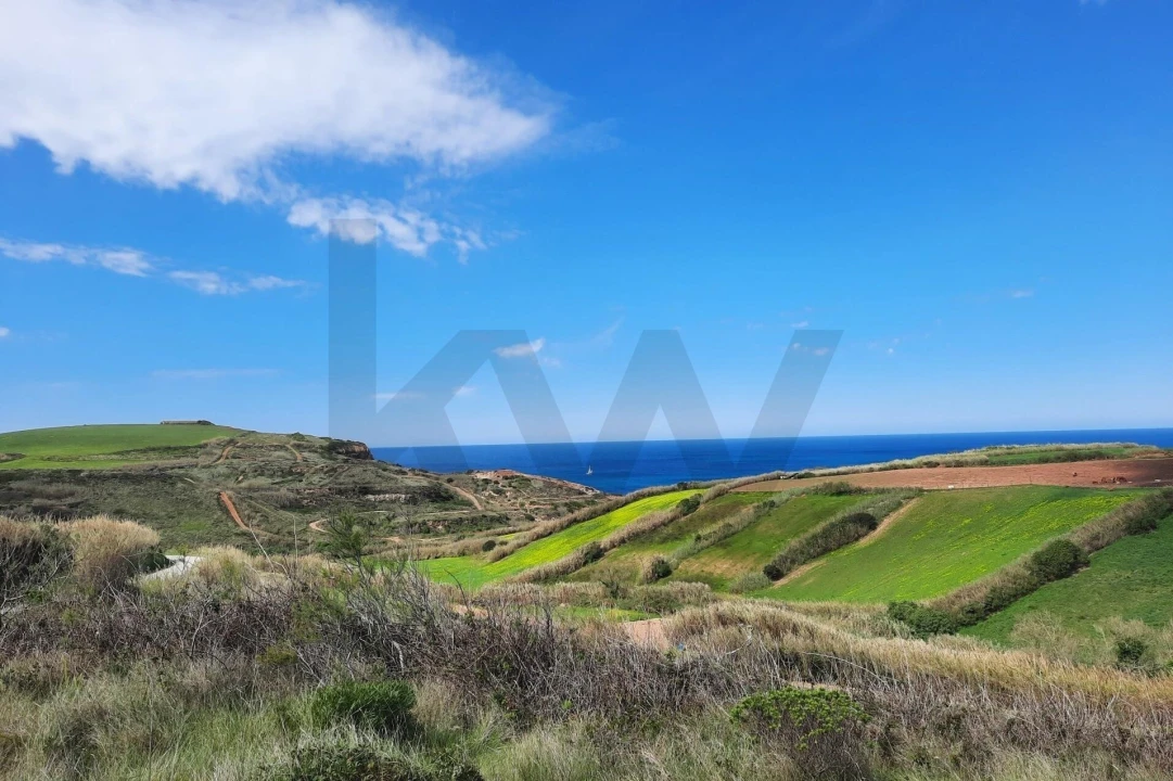 Terreno para Venda em Encarnação Foto 3