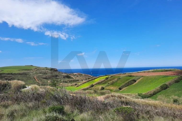 Terreno para Venda em Encarnação Foto 3