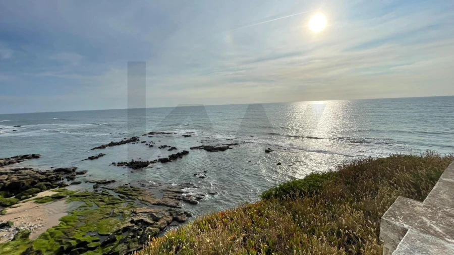 Terreno para Venda em Encarnação Foto 18