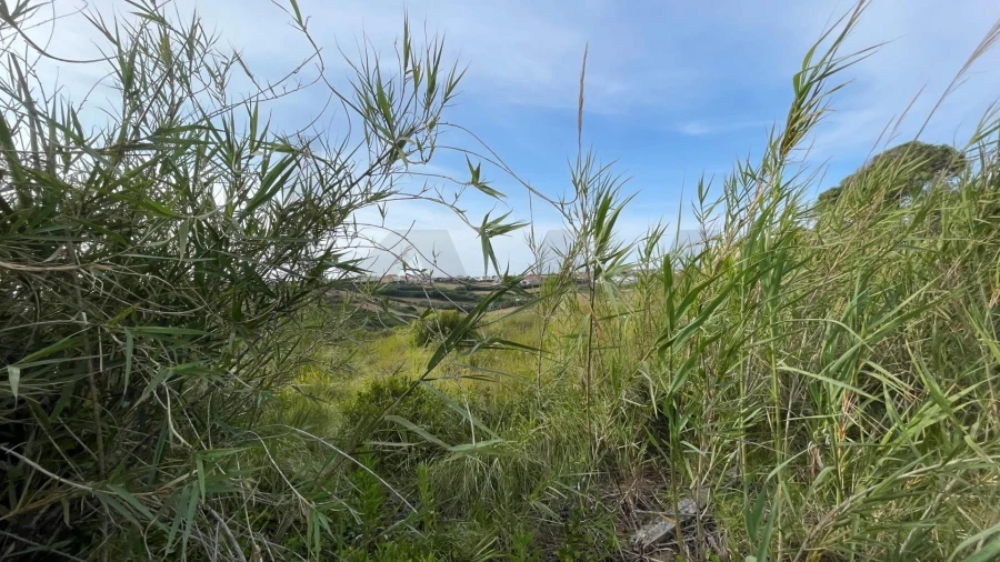 Terreno para Venda em Encarnação Foto 13